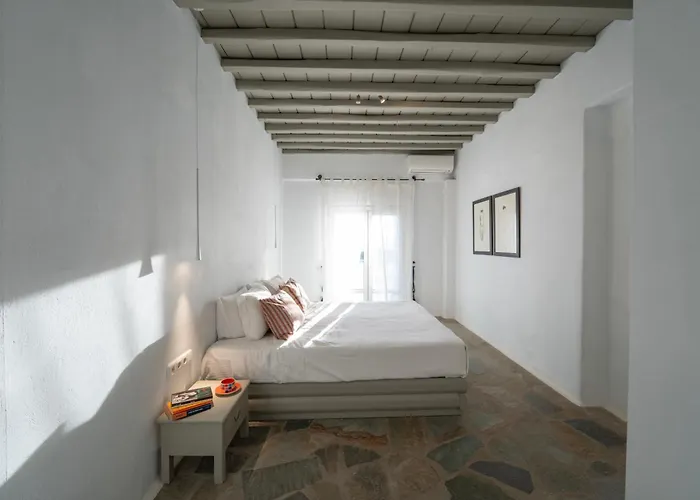 Villa Ipanema With Private By Mykonos Mood *