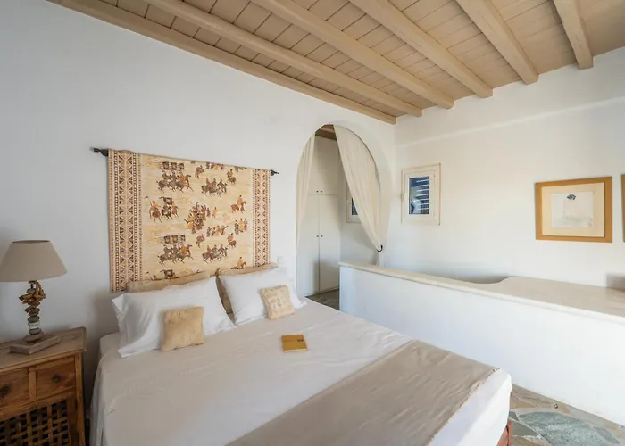 Villa Ipanema With Private By Mykonos Mood *